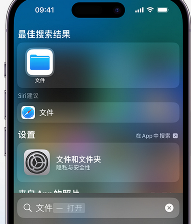 丛台apple维修中心分享iPhone文件应用中存储和找到下载文件 