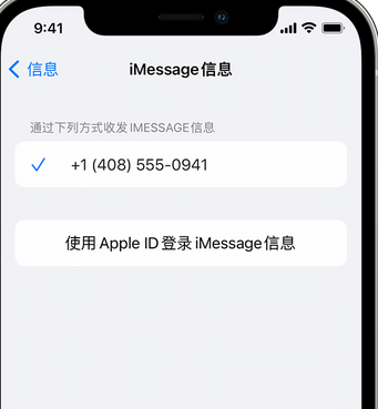 丛台apple维修iPhone上无法正常发送iMessage信息 