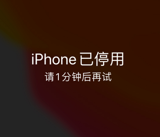 丛台苹果手机维修分享:iPhone 显示“不可用”或“已停用”怎么办？还能保留数据吗？ 