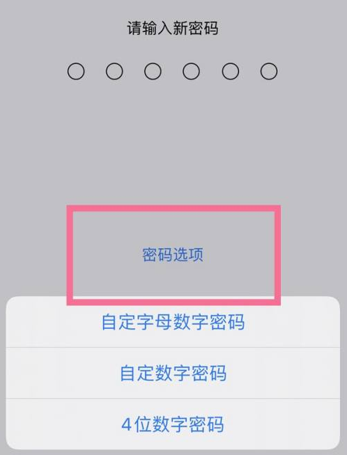 丛台苹果14维修分享iPhone 14plus设置密码的方法 