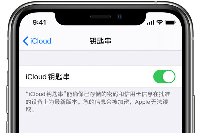 丛台苹果手机维修分享在 iPhone 上开启 iCloud 钥匙串之后会储存哪些信息 