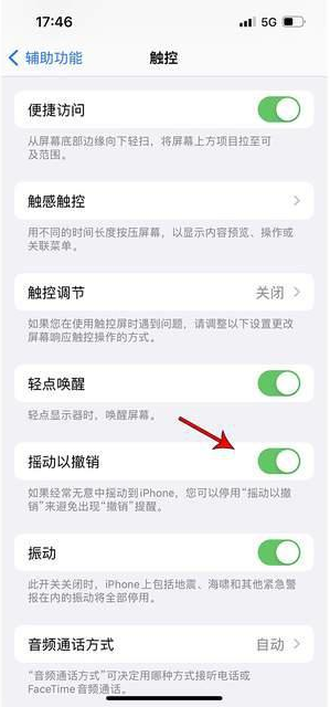 丛台苹果手机维修分享iPhone手机如何设置摇一摇删除文字 